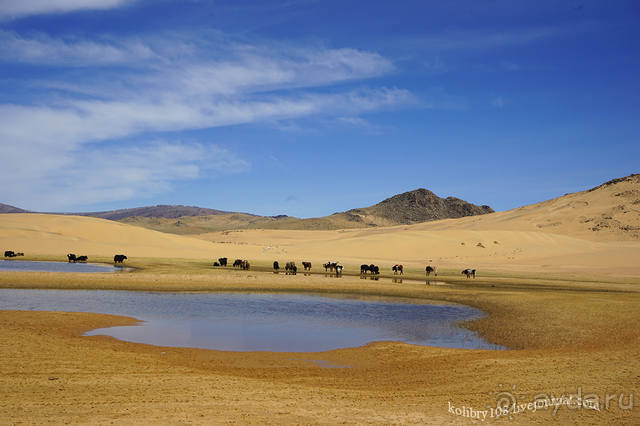 Монголия (по дороге удачи). часть 3-я.