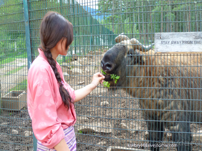 Бутан - страна пяти королей и большой любви (часть вторая).