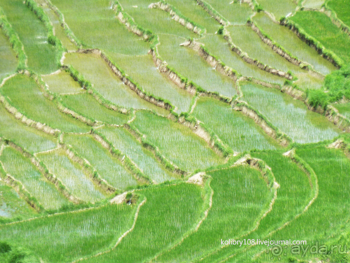 Бутан - страна пяти королей и большой любви (часть вторая).