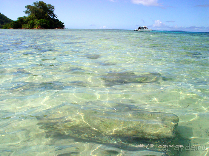 Фиджи (остров Найгани).