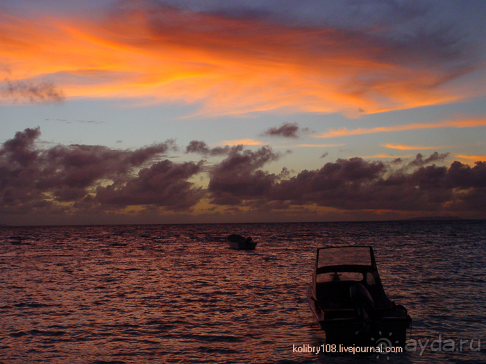 Фиджи (остров Найгани).