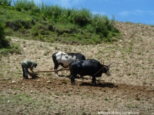 Бутан - страна говорящих флагов (часть 5-я).