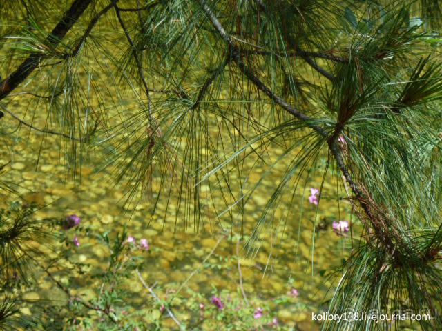 Бутан - страна говорящих флагов (часть 5-я).