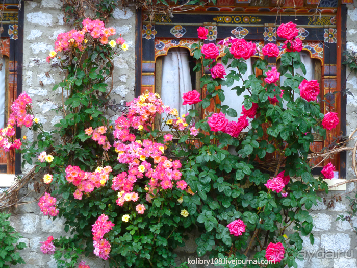 Бутан - страна говорящих флагов (часть 5-я).