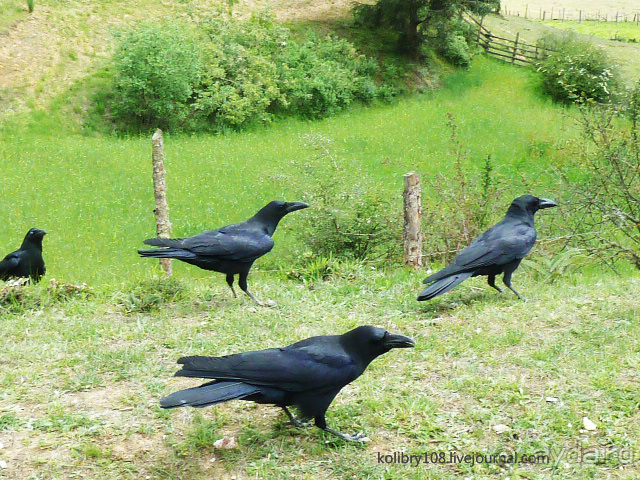 Бутан - страна говорящих флагов (часть 5-я).