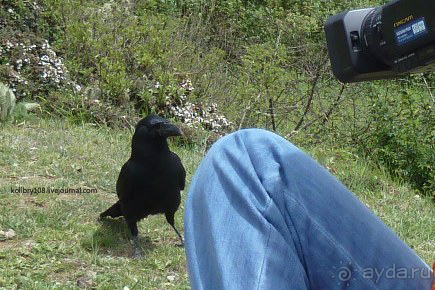 Бутан - страна говорящих флагов (часть 5-я).