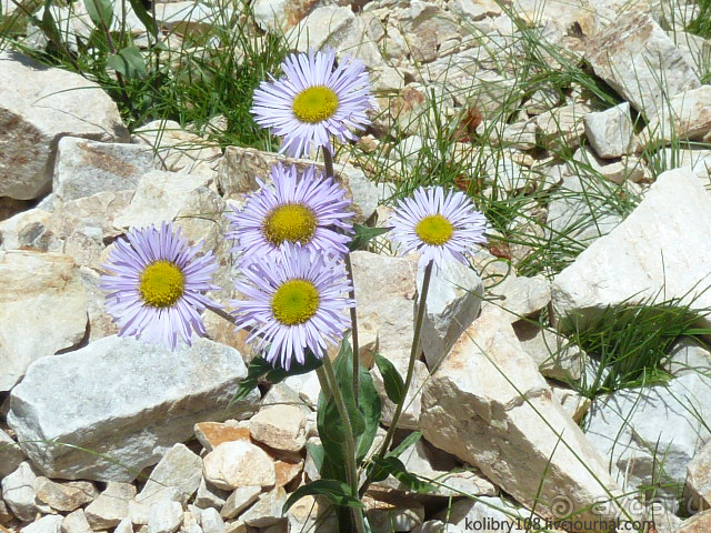 Бутан - страна говорящих флагов (часть 5-я).