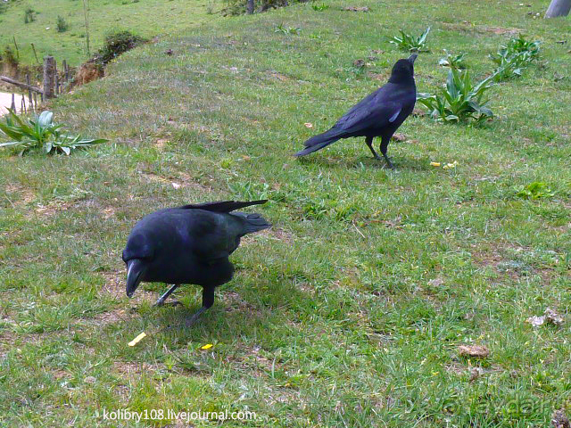 Бутан - страна говорящих флагов (часть 5-я).