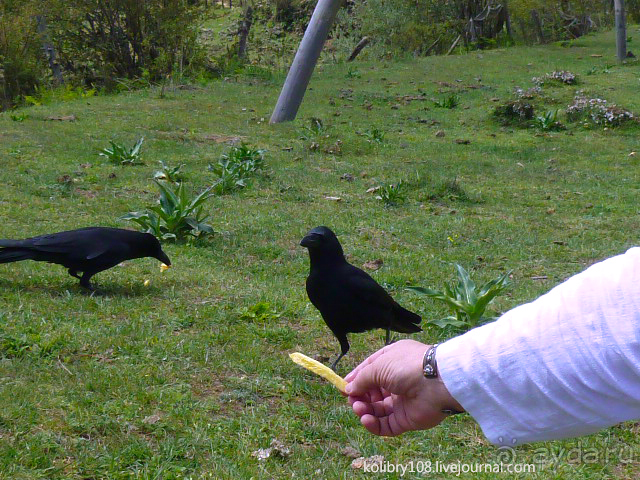 Бутан - страна говорящих флагов (часть 5-я).