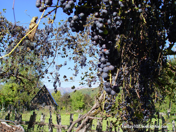 Псху (Абхазия).