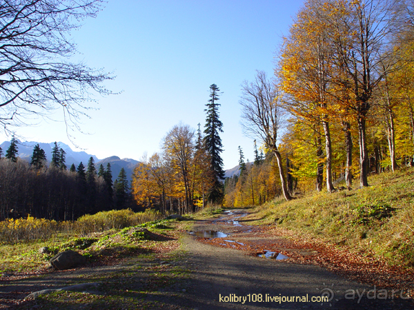 Псху (Абхазия).