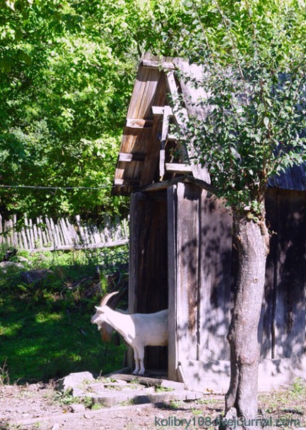 Псху (Абхазия).