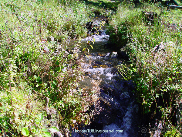 Псху (Абхазия).