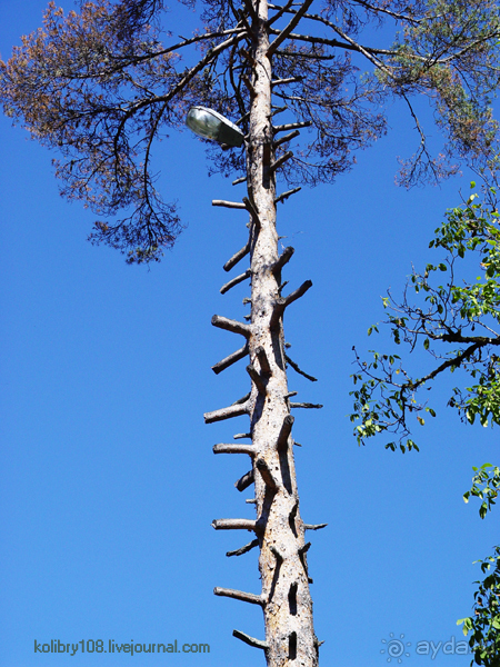 Псху (Абхазия).
