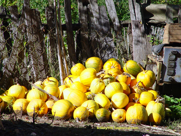 Псху (Абхазия).
