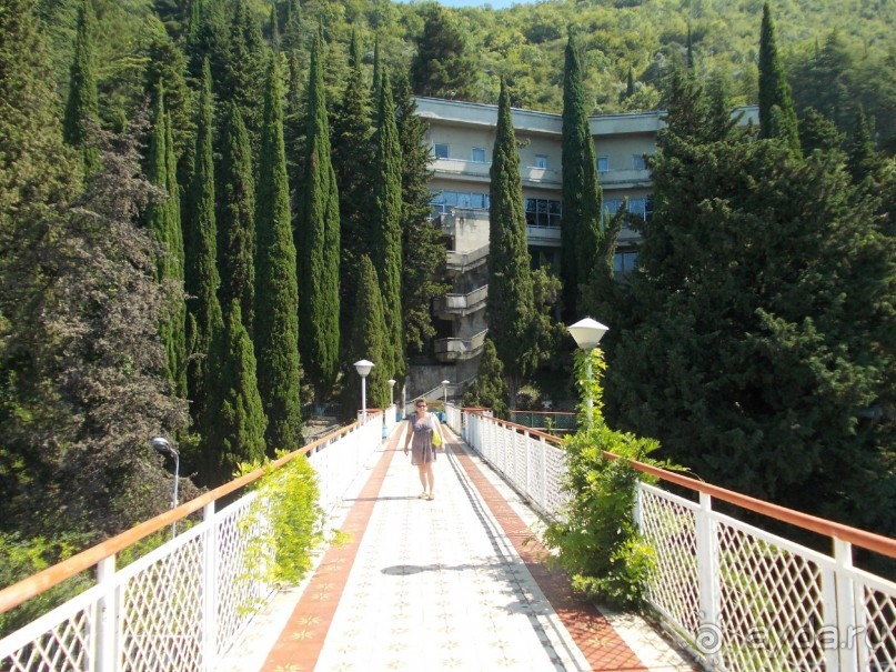 потрясающие впечатления