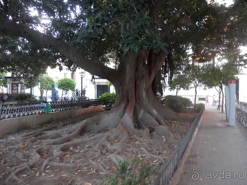 Еще кусочек Севильи