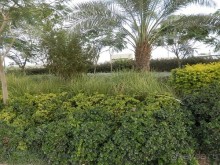 Через иудейскую пустыню и православные монастыри к Мертвому морю