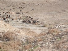 Через иудейскую пустыню и православные монастыри к Мертвому морю