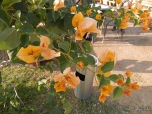 Через иудейскую пустыню и православные монастыри к Мертвому морю