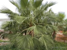 Через иудейскую пустыню и православные монастыри к Мертвому морю