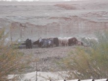 Через иудейскую пустыню и православные монастыри к Мертвому морю