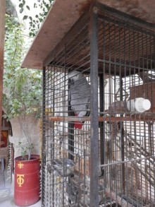 Через иудейскую пустыню и православные монастыри к Мертвому морю