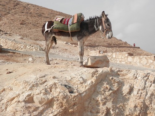 Через иудейскую пустыню и православные монастыри к Мертвому морю