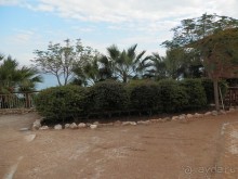 Через иудейскую пустыню и православные монастыри к Мертвому морю