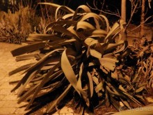 Через иудейскую пустыню и православные монастыри к Мертвому морю