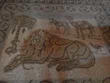 Через иудейскую пустыню и православные монастыри к Мертвому морю