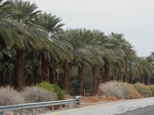 Через иудейскую пустыню и православные монастыри к Мертвому морю