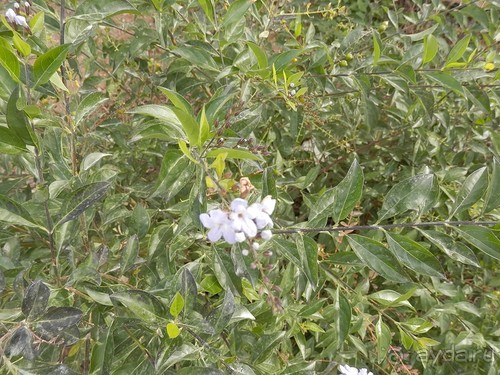 Через иудейскую пустыню и православные монастыри к Мертвому морю