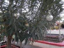 Через иудейскую пустыню и православные монастыри к Мертвому морю