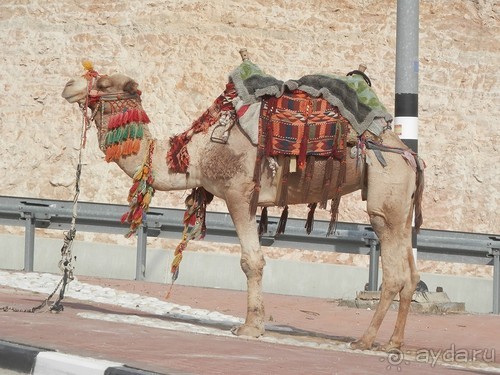 Через иудейскую пустыню и православные монастыри к Мертвому морю