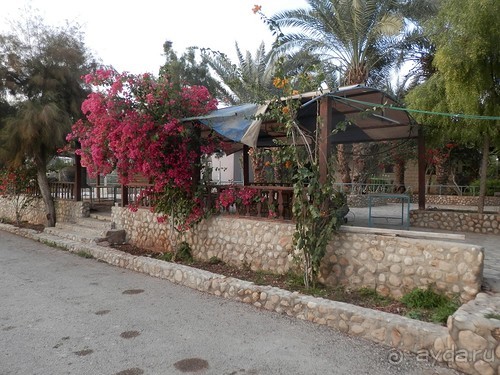 Через иудейскую пустыню и православные монастыри к Мертвому морю