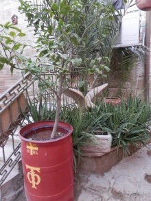 Через иудейскую пустыню и православные монастыри к Мертвому морю