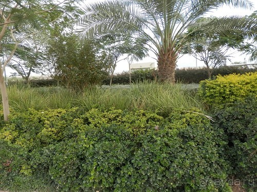 Через иудейскую пустыню и православные монастыри к Мертвому морю