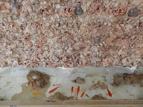 Через иудейскую пустыню и православные монастыри к Мертвому морю