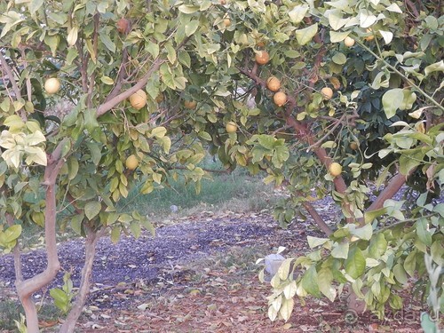 Через иудейскую пустыню и православные монастыри к Мертвому морю