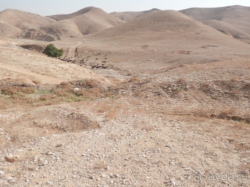 Через иудейскую пустыню и православные монастыри к Мертвому морю