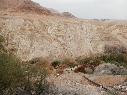 Через иудейскую пустыню и православные монастыри к Мертвому морю