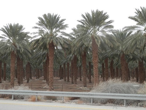 Через иудейскую пустыню и православные монастыри к Мертвому морю