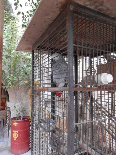 Через иудейскую пустыню и православные монастыри к Мертвому морю