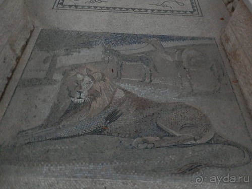 Через иудейскую пустыню и православные монастыри к Мертвому морю