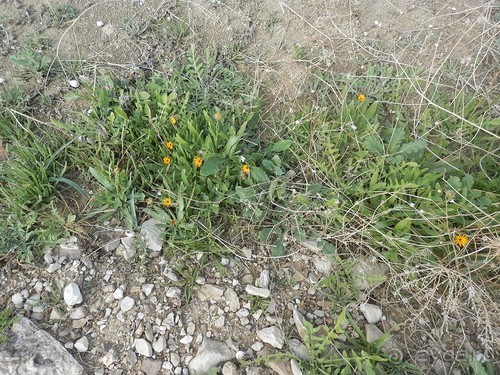 Через иудейскую пустыню и православные монастыри к Мертвому морю