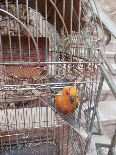 Через иудейскую пустыню и православные монастыри к Мертвому морю