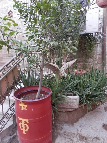 Через иудейскую пустыню и православные монастыри к Мертвому морю