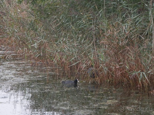 Копенгаген, утро первого дня