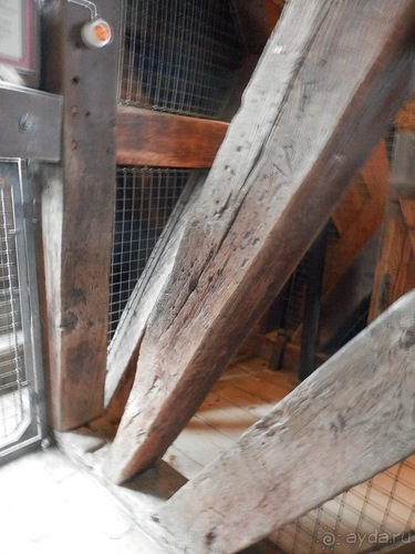 Копенгаген, утро первого дня